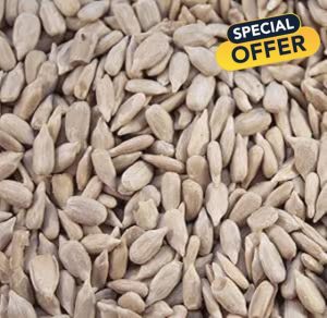 Beewarm Sunflower Hearts wild Bird Food. 20kg