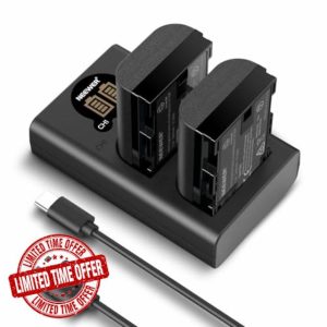 Neewer 2 Pack 2400mAh LP-E6P/LP-E6NH/LP-E6N/LP-E6 Replacement Battery & Vertical USB Dual Charger with LCD for EOS R5 Mark II EOS R5 EOS R6 EOS R7 EOS R 5D II III IV 6D 6D II 7D 7D II 60D 70D 80D 90D