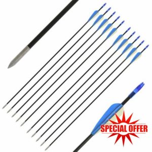 Fibreglass Arrows for Archery 26"