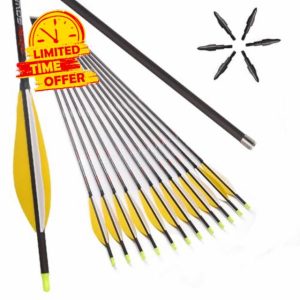 PHILOCS 12pcs ID 6.2mm Hunting Arrows Straightness +-0.001" Spine 200 300 400 500 600 700 800 Target Arrows