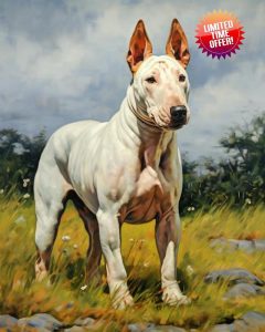 ZLYHAL Paint by Numbers for Adults Bull Terrier Dog on Grass DIY Canvas Painting Kit Paint by Number Kit