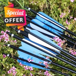 Poearcus Archery Aluminium Arrow 30 Inch Hunting Arrow 300 Spine Target Shooting Rupture-proof Arrow for Recurve Bow Compound Bow