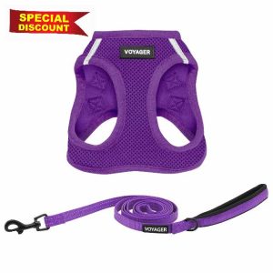Best Pet Supplies Voyager Step-in Air All Weather Mesh Harness and Reflective Dog 5 ft Leash Combo with Neoprene Handle