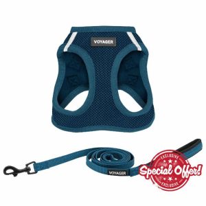 Best Pet Supplies Voyager Step-in Air All Weather Mesh Harness and Reflective Dog 5 ft Leash Combo with Neoprene Handle