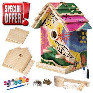 DIY Wood Bird House Kits
