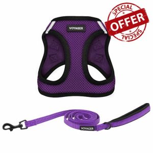 Voyager Step-in Air All Weather Mesh Harness and Reflective Dog 5 ft Leash Combo with Neoprene Handle