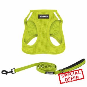 Best Pet Supplies Voyager Step-in Air All Weather Mesh Harness and Reflective Dog 5 ft Leash Combo with Neoprene Handle