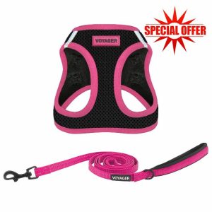 Voyager Step-in Air All Weather Mesh Harness and Reflective Dog 5 ft Leash Combo with Neoprene Handle