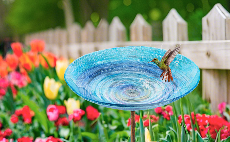 wild bird baths