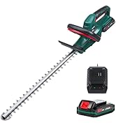 POSENPRO 12V Cordless Grass Shears, 2 in 1 Hedge Trimmer/Grass Cutter with 2.0Ah Battery, Lightwe...