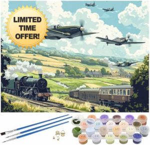 Syiboo Paint by Numbers for Adults Airplane