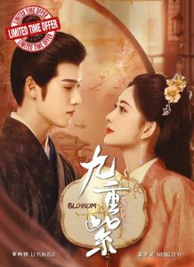 BLOSSOM - COMPLETE CHINESE TV SERIES DVD BOX SET ( MANDARIN DUB WITH ENGLISH SUBS ) SHIP FROM UK