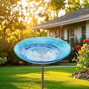 garden bird bath