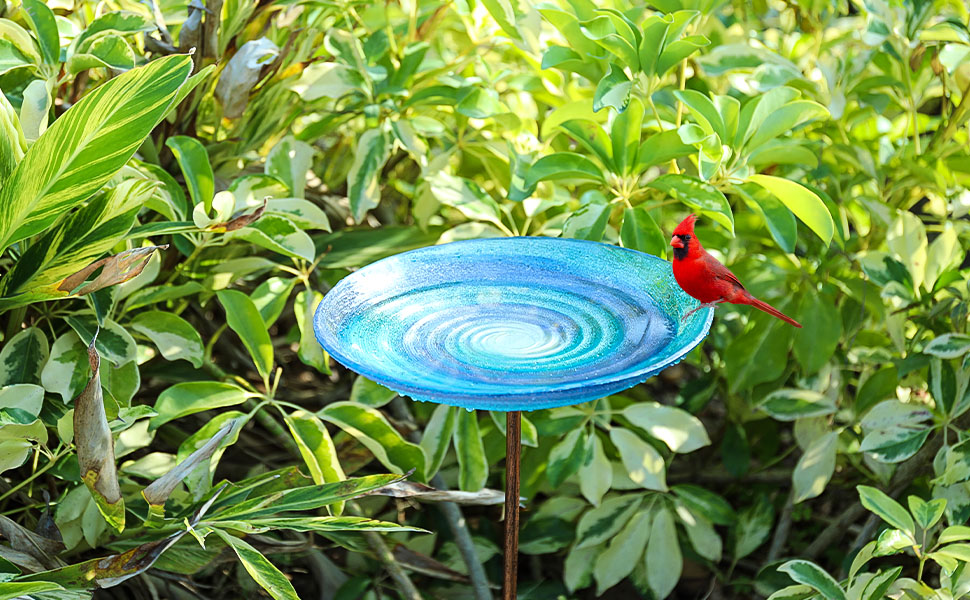 Bird Feeder