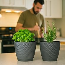 Collection of small potted cacti and succulents in various sizes and shapes, some with pink flowering plants visible.