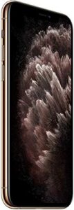256GB Gold (Renewed)