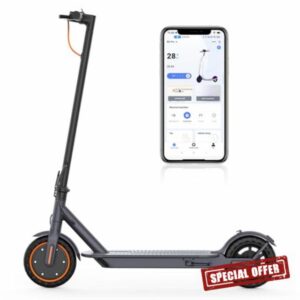 Riceel Electric Scooter