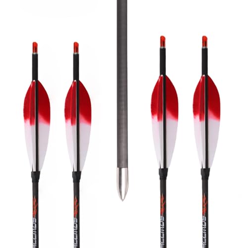 for Archery Practice & Hunting