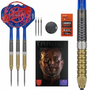 Target Darts Raymond van Barneveld Steel Tip Generation 6 Dart Set
