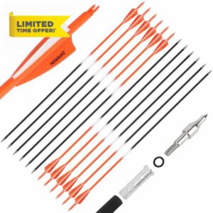 PYMUST 31 Inch Hybrid Carbon Arrow Children Recurve Bow Compound Bow Target Arrow Practice Arrow with 3 Inch Shield Arrow Feather for 30-50 Pound Bows