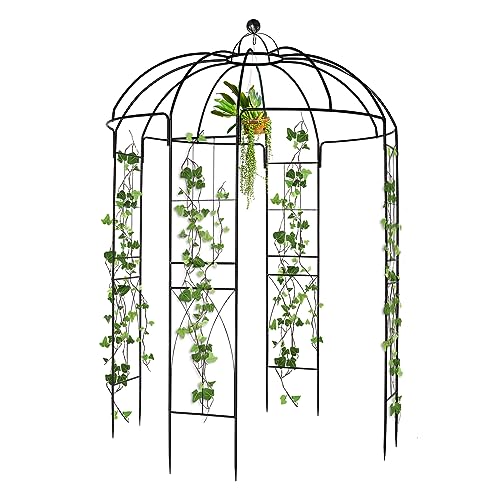 4-Sided Birdcage Shape Garden Pergola