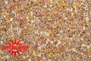 Johnston & Jeff No Mess No Grow Wild Bird Seed Mix – Premium Clean