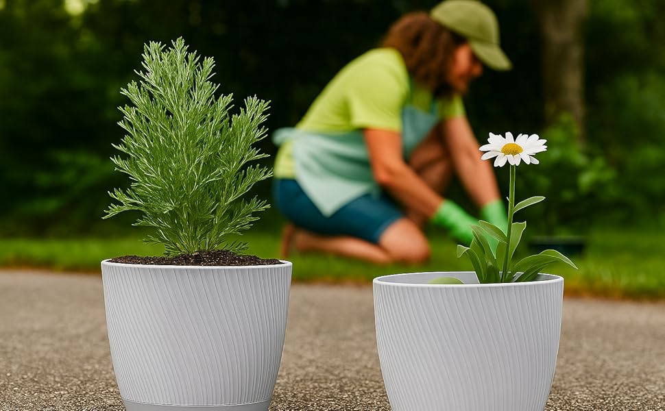 Text reads: 'SMALL POTS FOR CACTI', 'MEDIUM POTS FOR HERBS', 'LARGE POTS FOR LARGE HOUSEPLANTS'. Three planters of increasing size showing cacti, herbs, and large leafy plant.