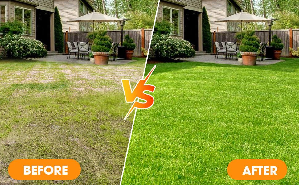 Text reads 'BEFORE' and 'AFTER'. Lawn maintenance comparison photos showing transformation of grass area, with visible improvement in grass health and color.