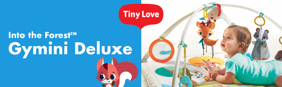 Tiny Love, Gymini and Activity Gyms, Into the Forest collection, Gymini Deluxe, module 1
