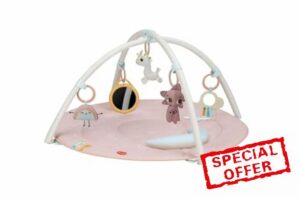 Tiny Love Developmental Gymini