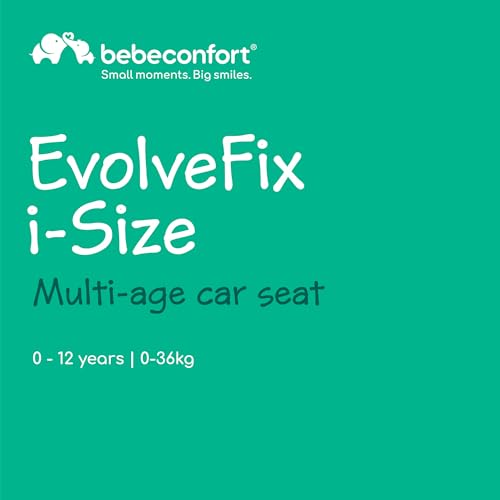 360 Swivel Car Seat