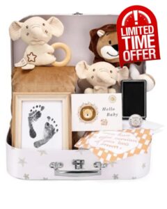 Lictin Baby Shower Gifts