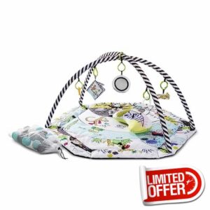 Kinderkraft Baby Playmat SMARTPLAY