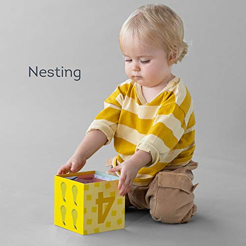Counting & Learning Colours & Shapes. Educational