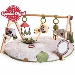 Tiny Love Luxe Developmental Gymini