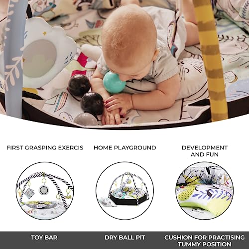 Activity Play Gym