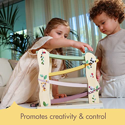 Cognitive Development