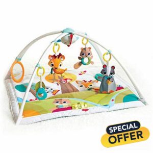 Tiny Love Gymini Deluxe