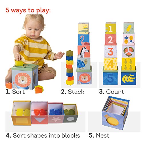 Developmental Toy For 12 Months & Up