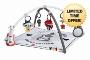 Tiny Love Rock with Me Gymini