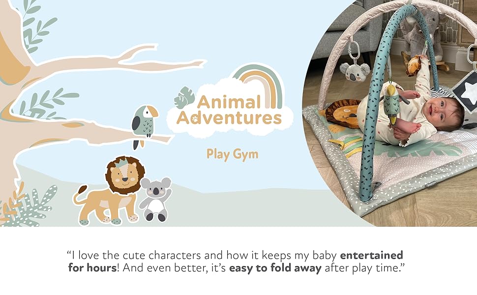AA_Play_Gym_1
