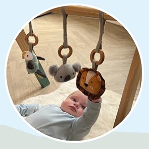 AA_WoodenPlayGym_2
