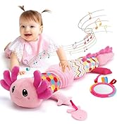 hahaland Baby Toys 6 Months Plus, Toddler Pull and Pop Montessori Toys for 1 Year Old Girls, Educ...