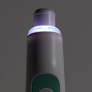 enb seo 2