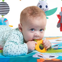 Tiny Love, Gymini and Activity Gyms, Gymini Sunny Day