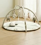 Fortella Baby Play Gym & Activity Playmat, Sensory Mat for Floor w Hanging Toys, Mirror, Support ...