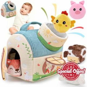 Baby Toys 6-12 Months