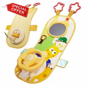 Rear Facing Car Seat Toys