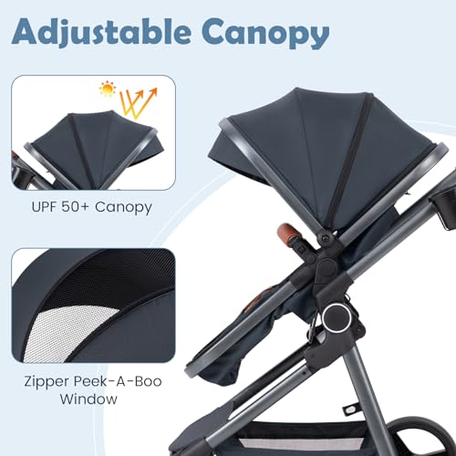 Adjustable Canopy & Backrest