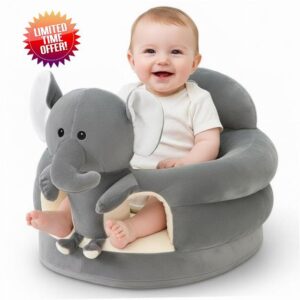 Baby Sit Up Chair